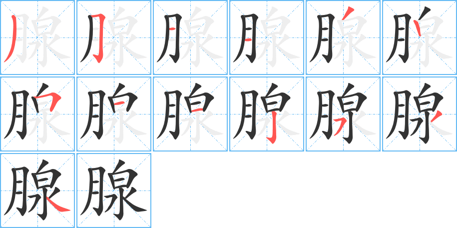 腺的笔顺写法