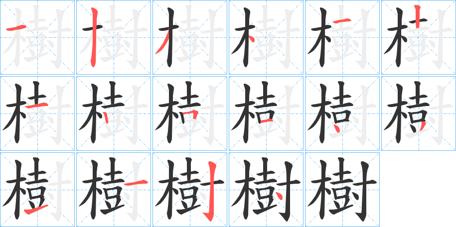 樹的笔顺写法