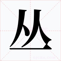 丛