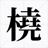 橈