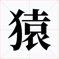 猿