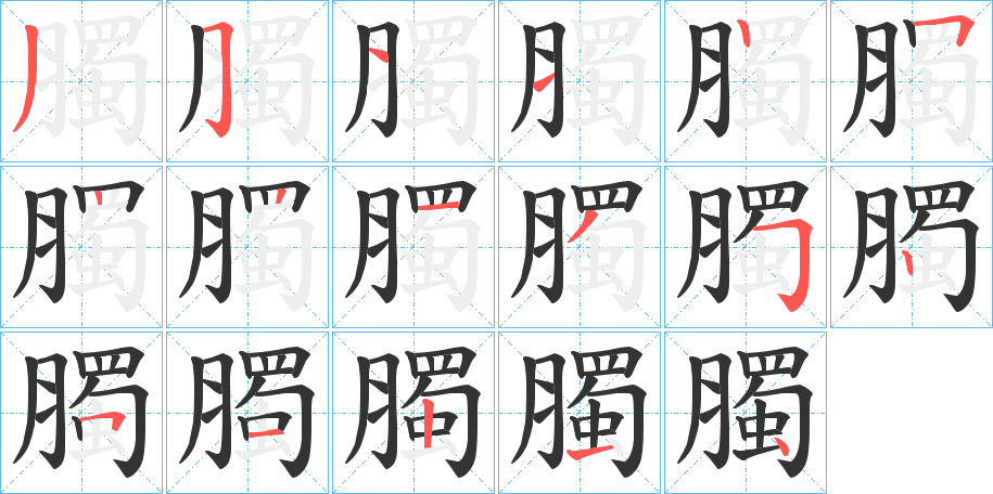 臅的笔顺写法