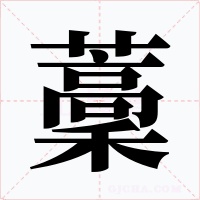藳