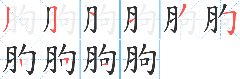 胊的笔顺写法