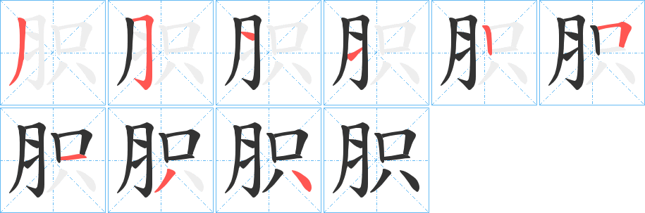 胑的笔顺写法