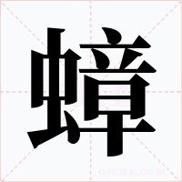 蟑