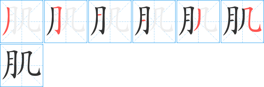 肌的笔顺写法