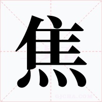 焦