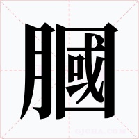 膕