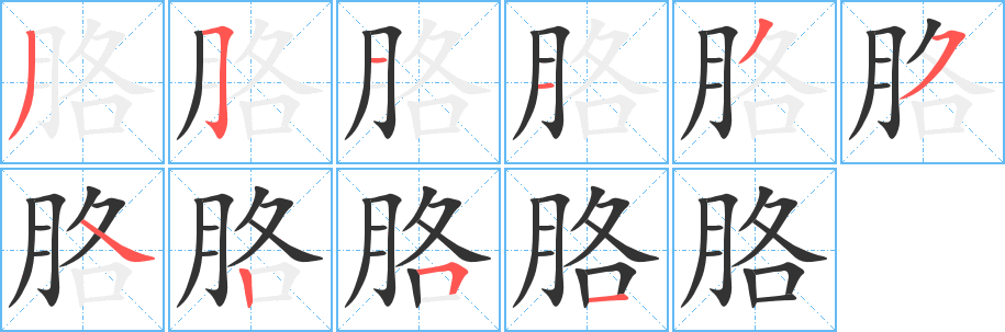 胳的笔顺写法