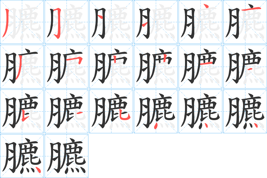 臕的笔顺写法
