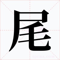 尾