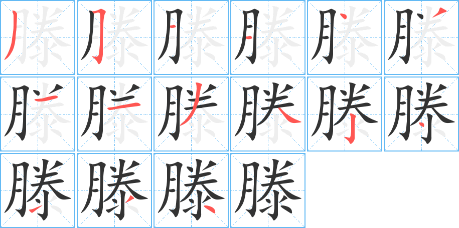 滕的笔顺写法