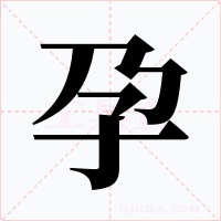 孕