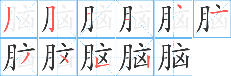 脑的笔顺写法
