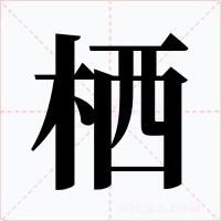 栖