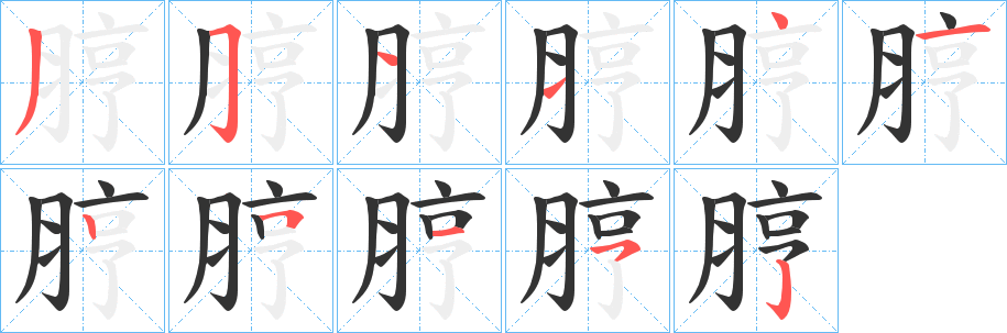 脝的笔顺写法