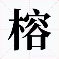 榕