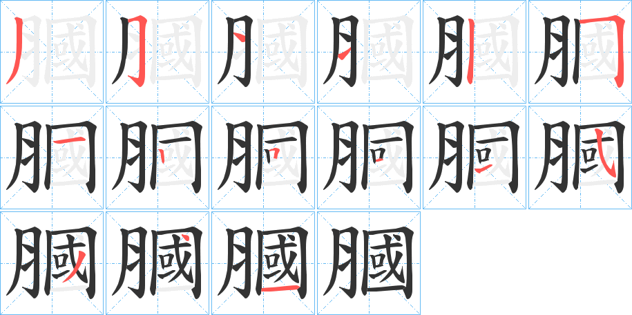 膕的笔顺写法