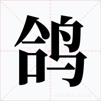 鸽