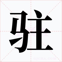驻