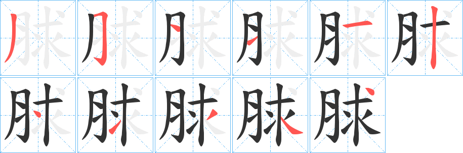 脙的笔顺写法