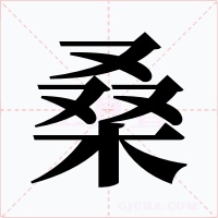桑