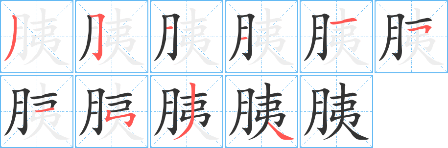 胰的笔顺写法