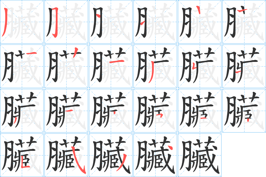 臟的笔顺写法