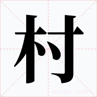 村