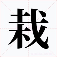 栽