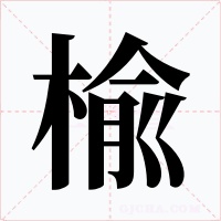 楡