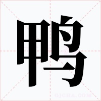 鸭