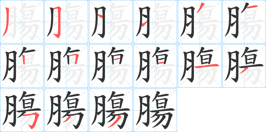 膓的笔顺写法