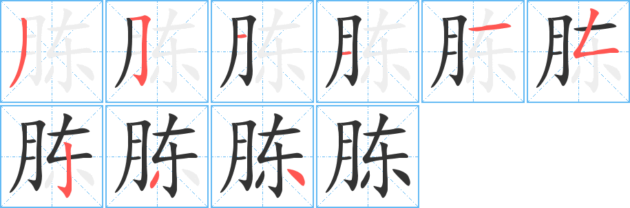 胨的笔顺写法
