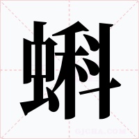 蝌
