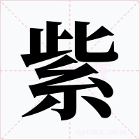 紫
