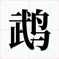 鹉