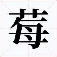 莓