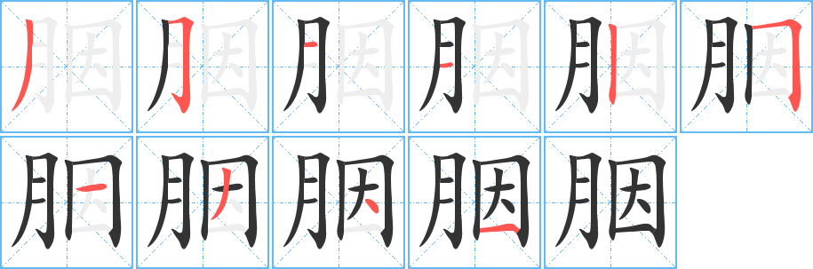 胭的笔顺写法