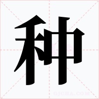 种