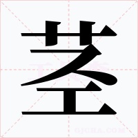 茎