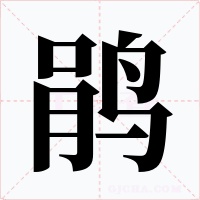 鹃