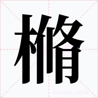 樇