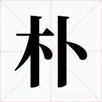 朴