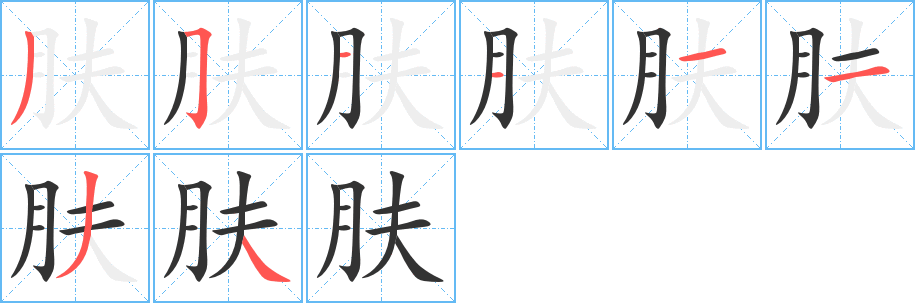 肤的笔顺写法