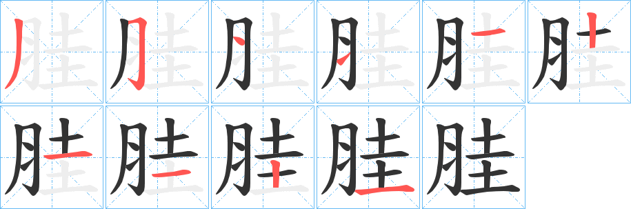 胿的笔顺写法