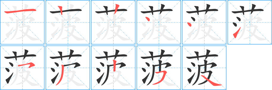 菠的笔顺写法