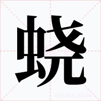 蛲