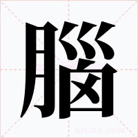 腦